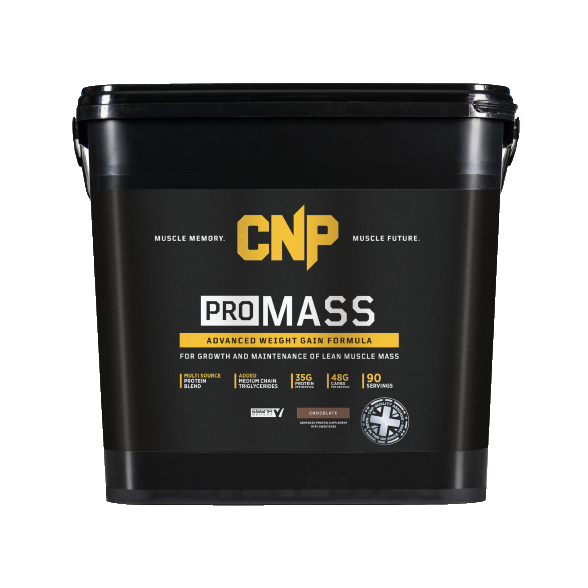 Pro Mass 4.5kg