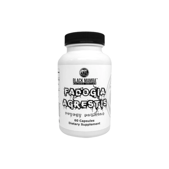 Fadogia Agrestis 60 Caps